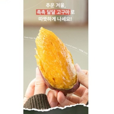 [푸른뜰고구마] 호박 밤 꿀고구마