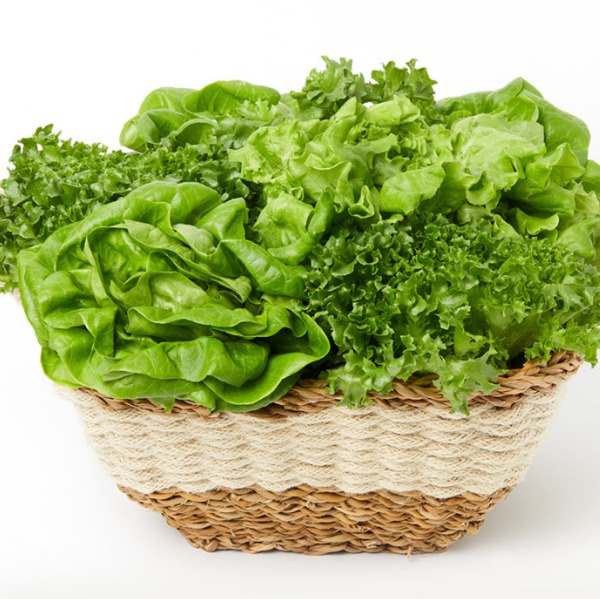 [풀하우스농장] 무농약 유럽종 쌈채소  0차