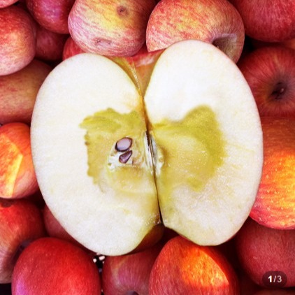 [서울살이] 꿀 부사사과 2kg