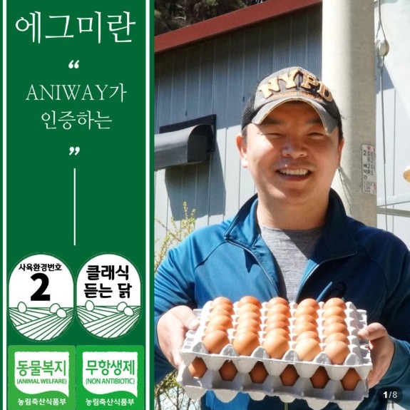 [애니웨이] 계란