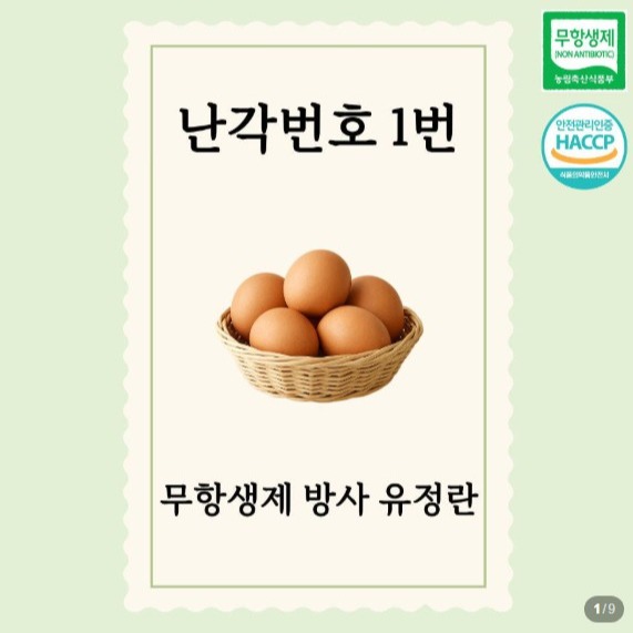 [홍천자연랜드] 계란