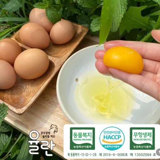 [동물복지율란]왕란