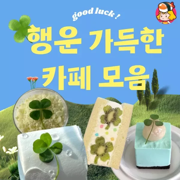 행운 가득한 네잎클로버 카페 모음