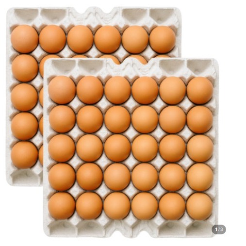 [익는소리 신선마켓] HACCP 신선한 계란 왕란