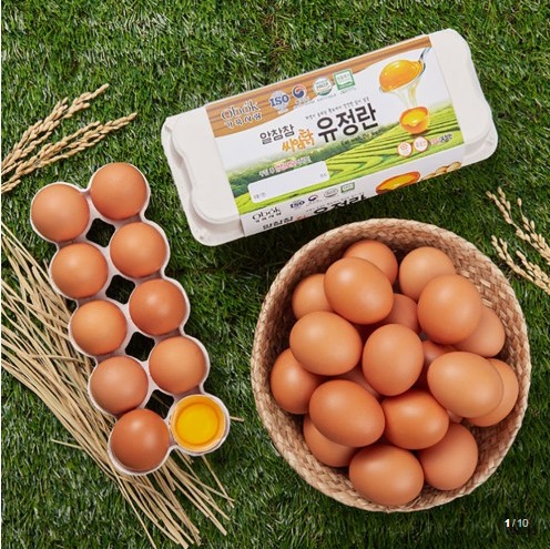 [마켓타운] 자연축사 무항생제 특란