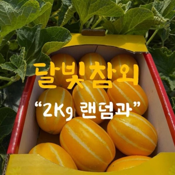 [달빛참외] 참외