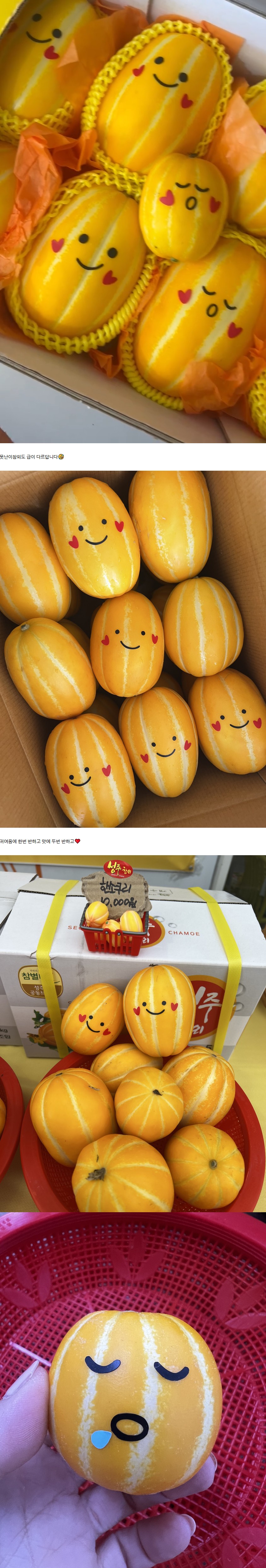 상세 이미지