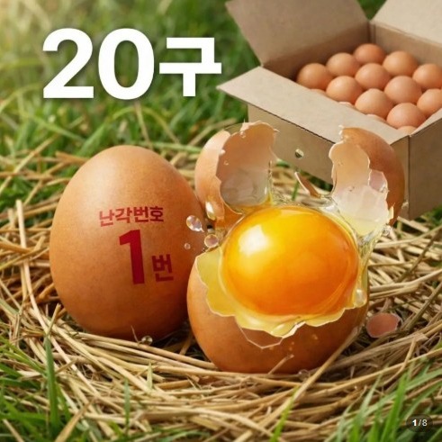 [양계장사람들] 무항생제 자연방사 유정란