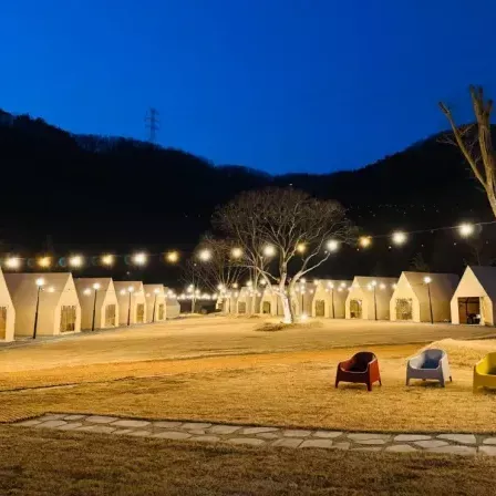 [전남 장성][릴스] 더숲 캠핑&글램핑