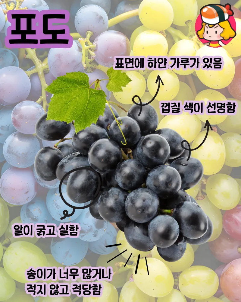 card_img