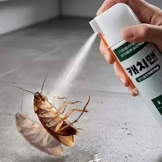 [릴스][잡스] 바퀴살충제 캐치맨 잡스 울트라에어로솔