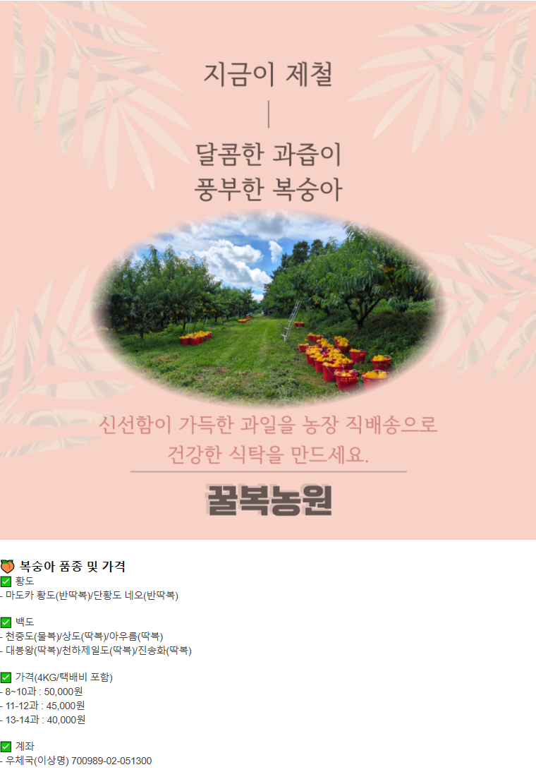 상세 이미지