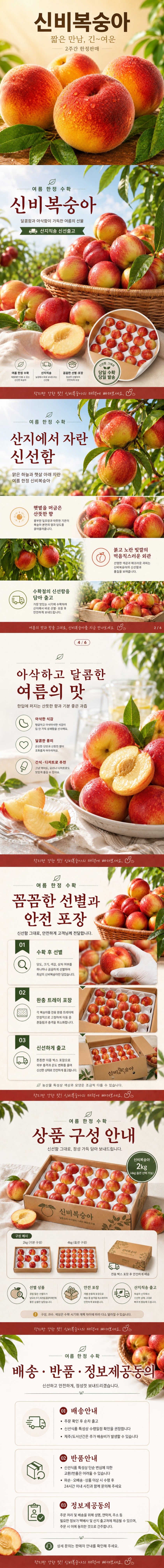 상세 이미지