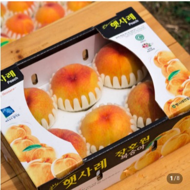 [더유] 비단 복숭아