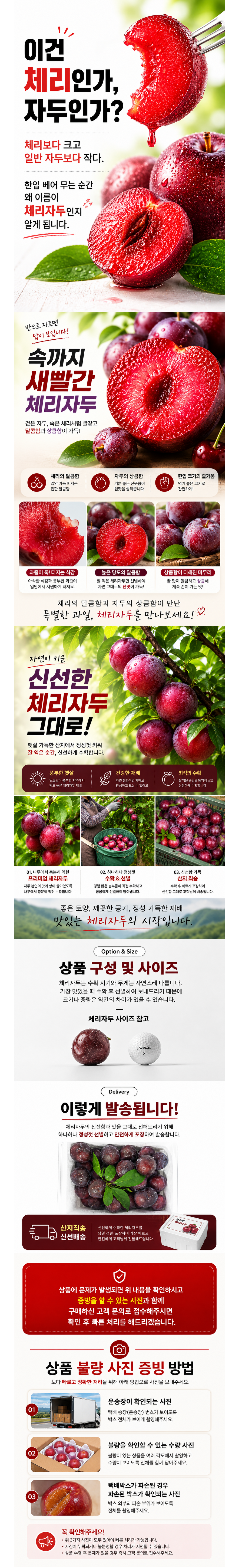 상세 이미지