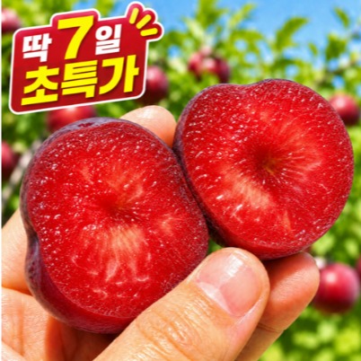 [잇소굿즈] 체리자두