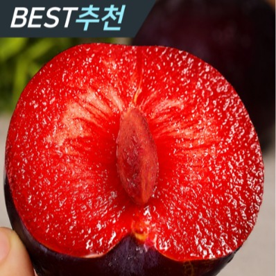 [더프레시스트] 체리자두