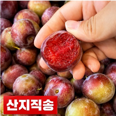 [아지] 피자두