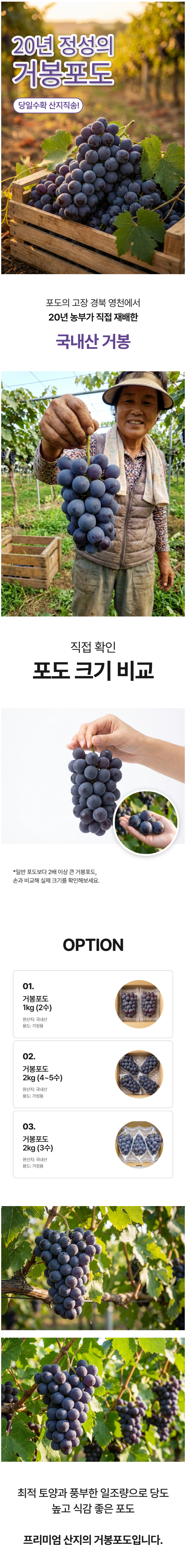 상세 이미지