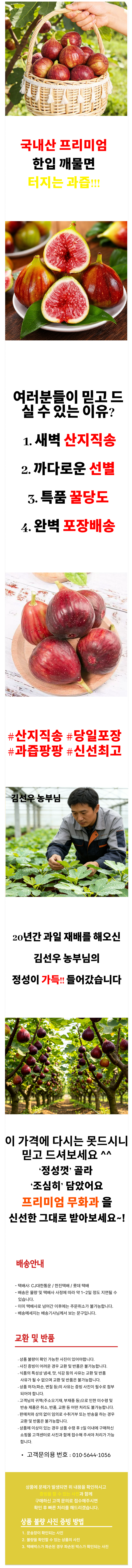 상세 이미지