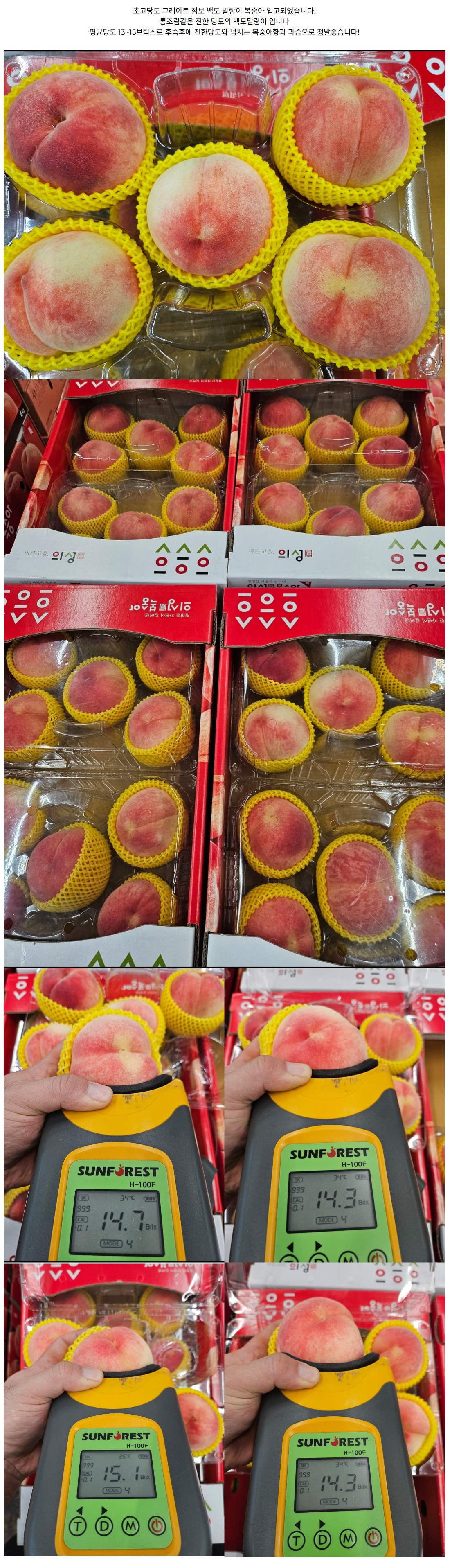 상세 이미지