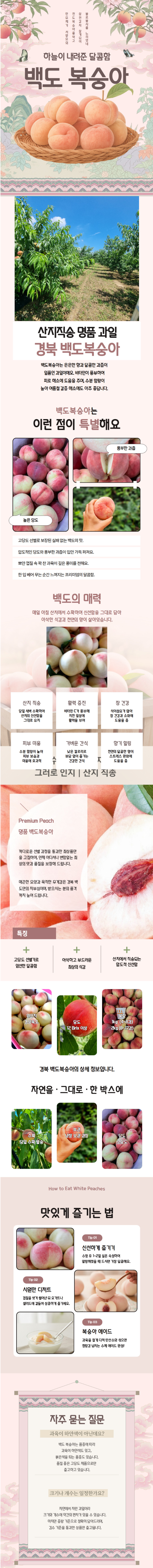 상세 이미지