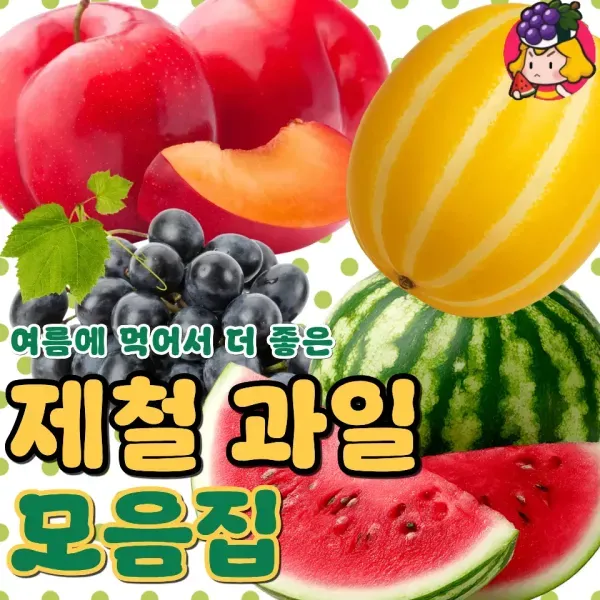 여름이라 더 맛있는 제철 과일 모음 