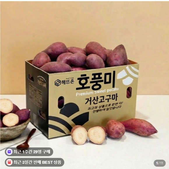 [거산고구마] 호풍미고구마