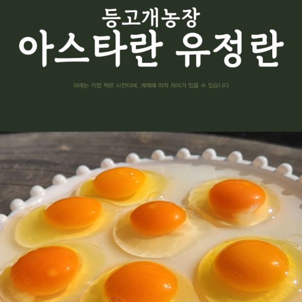 [유정란 등고개달걀농장] 알토란 방송 아스타란 유정란