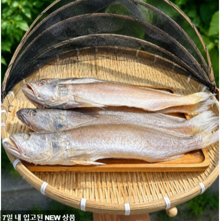 [마산광명수산] 반건조조기
