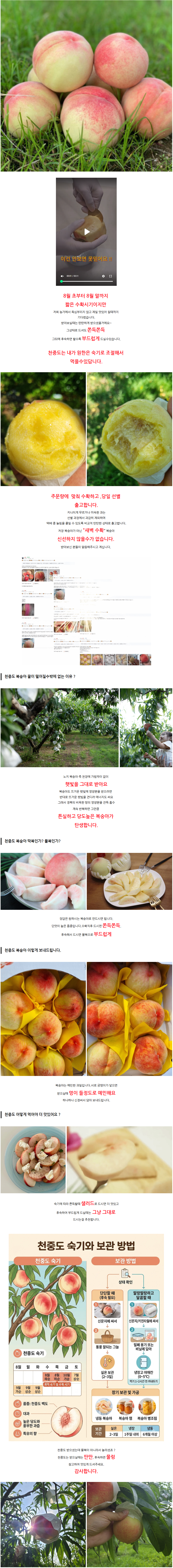 상세 이미지