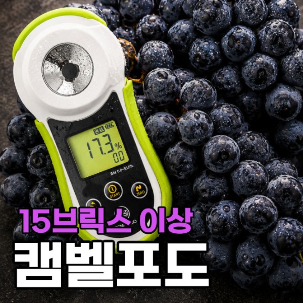 [미다름과일] 캠벨포도