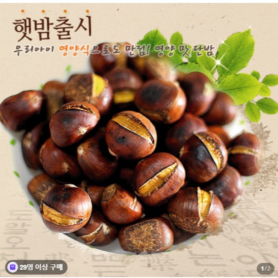 [바우밤] 약단밤