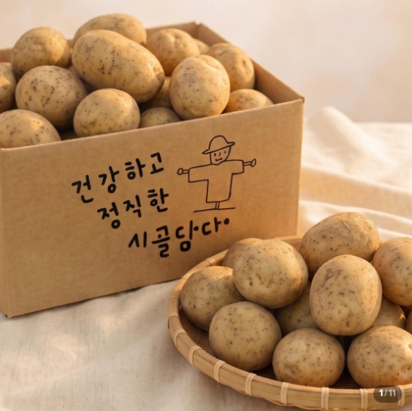 [시골담다] 햇감자