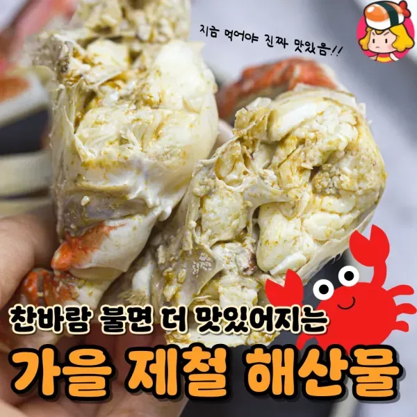 지금 먹어야 더 맛있는 가을 제철 해산물 모음