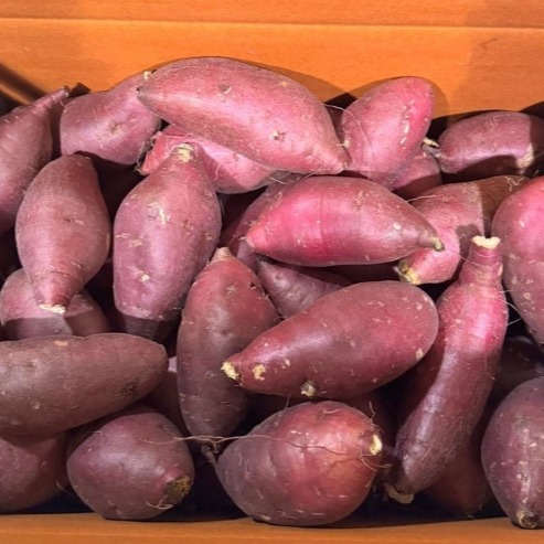 [백인재고구마] 햇고구마 4kg