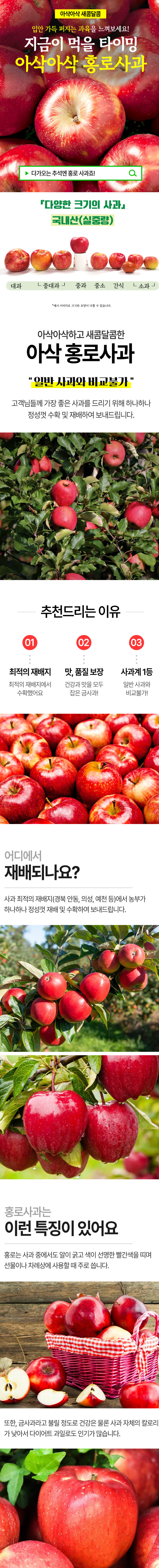 상세 이미지