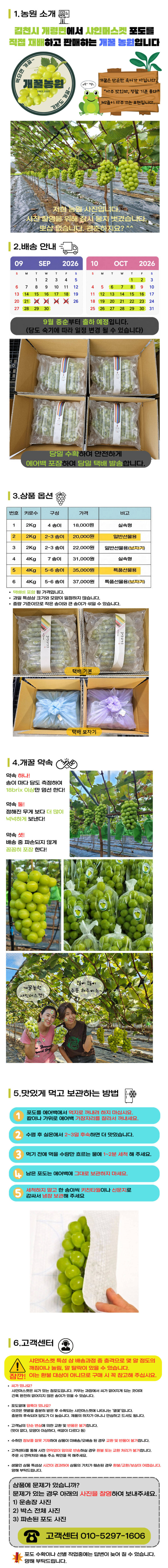 상세 이미지