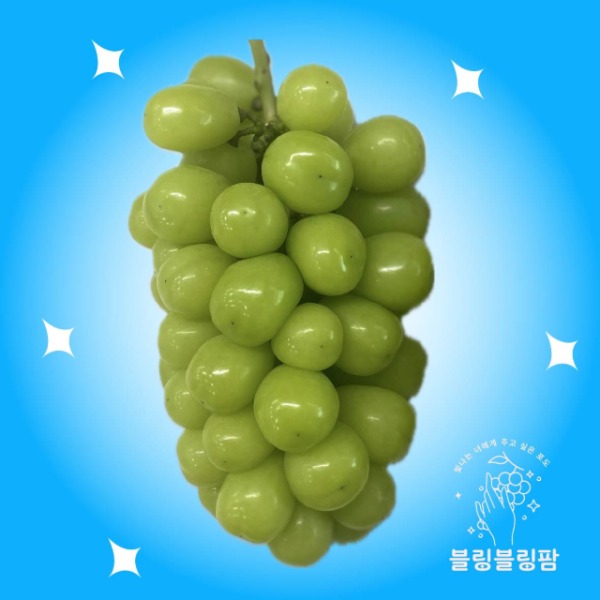 [블링블링팜] 샤인머스켓