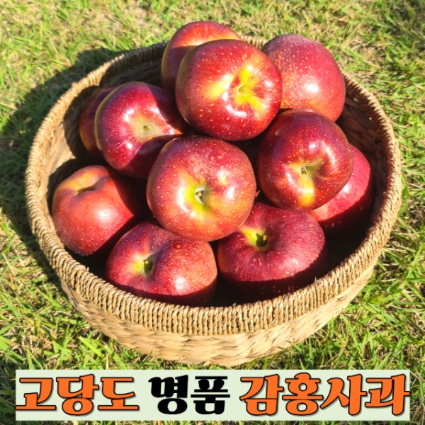[8도강산] 고당도 감홍사과