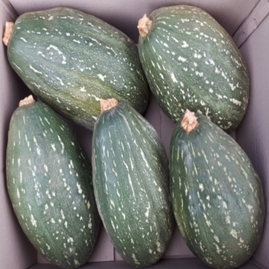 농장직송 만차랑 단호박