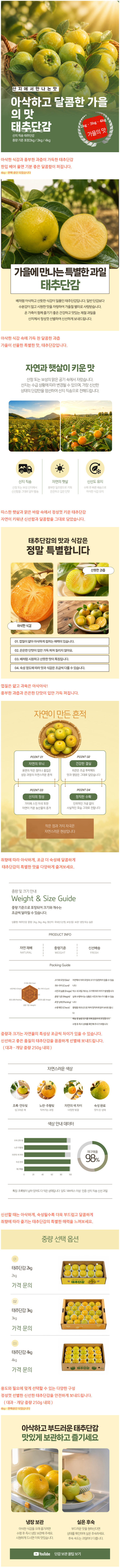 상세 이미지