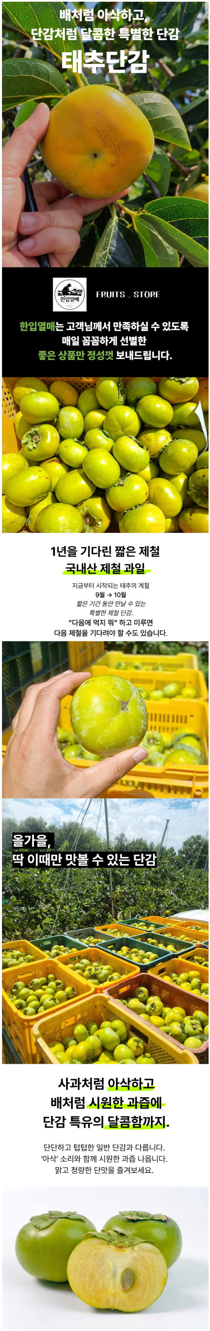 상세 이미지