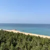 wjddbsl님의 댓글