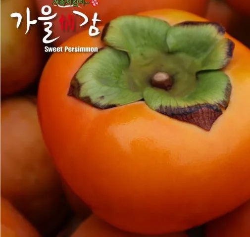 [릴스][민재농원] 부유단감 이미지