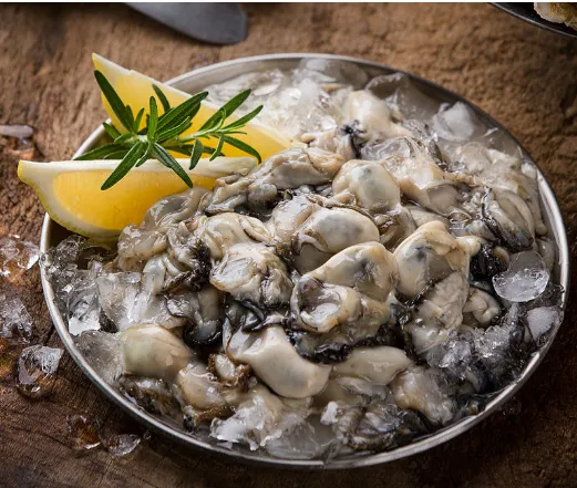 [클립][생굴목장] 통영 햇생굴