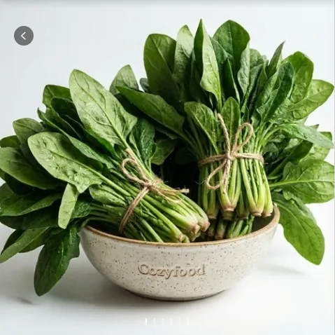 [릴스][코지푸드] 시금치