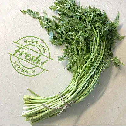 [릴스][YM 마켓] 제철 돌미나리