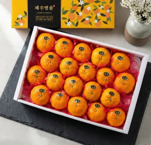 [귤아라] 제주 레드향