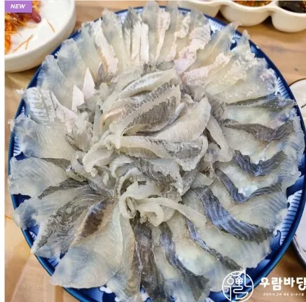 [우람바당] 강도다리회 필렛